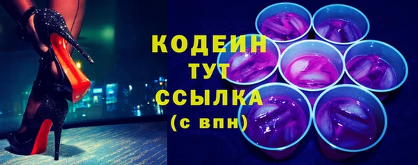 молекула духа Белокуриха