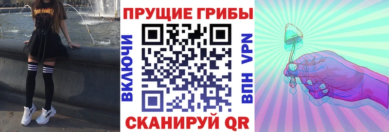 Псилоцибиновые грибы GOLDEN TEACHER  OMG как войти  Шагонар 