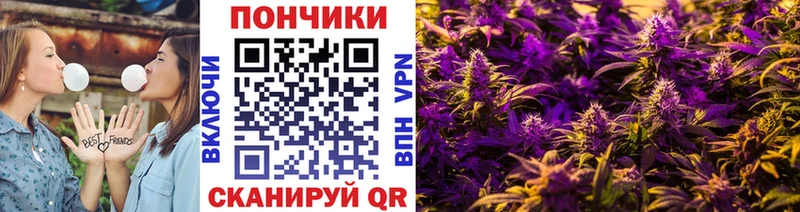 как найти закладки  Шагонар  Конопля марихуана 